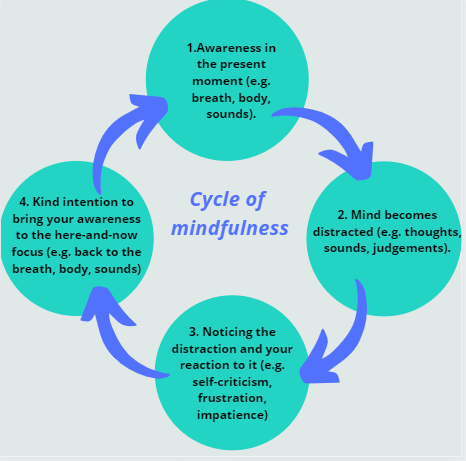 Cycle of Mindfulness – Trust Therapy