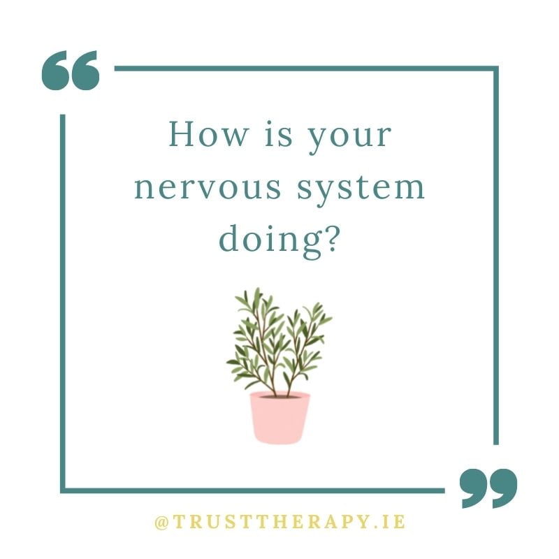 How is your nervous system doing?